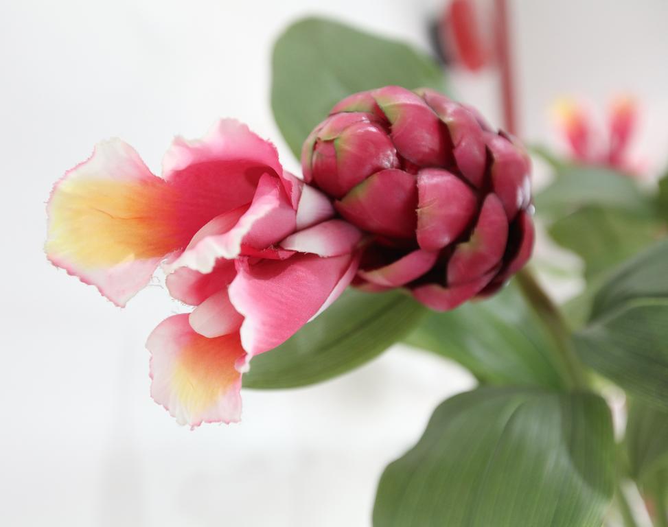 Gingerflower Boutique Hotel Malakka Dış mekan fotoğraf